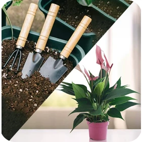 Plants & Gardening Tools