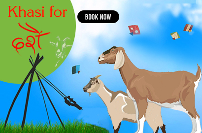 Dashain Khasi