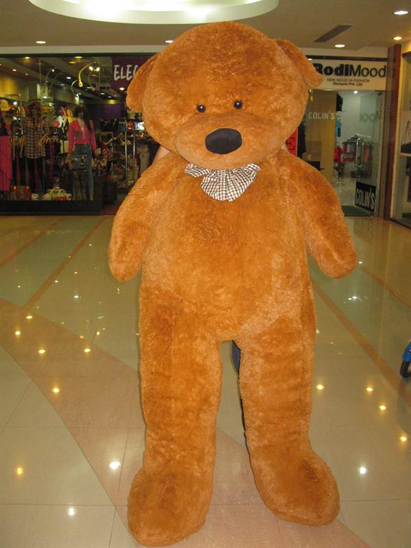 teddy bear price in bhatbhateni