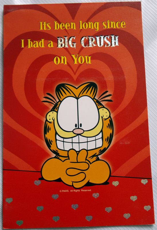 It's Been Long since I Had a Big Crush on You Card (MICDRN010)