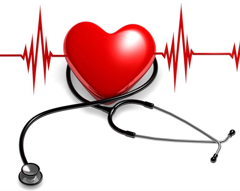 Aarogyam 1.4 59 Parameters Check Up Service Send Gifts and