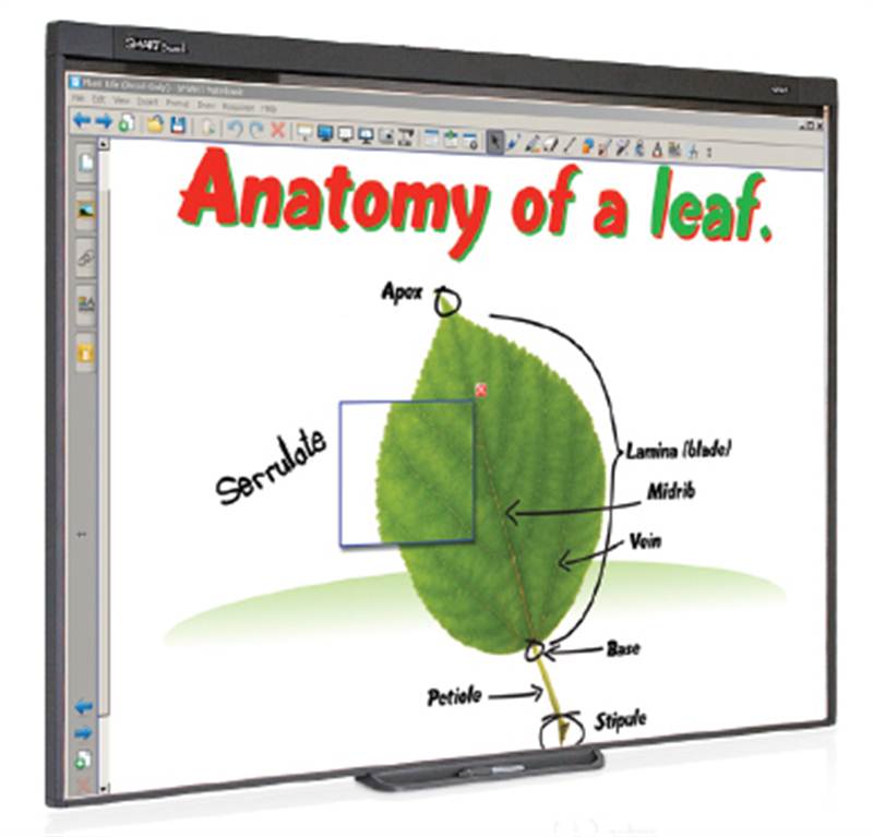 Smart Board 480 Interactive Whiteboard