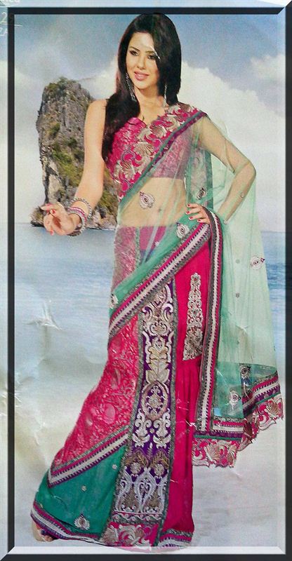 Panel saree in georjet and net for parties and gifts.(caln40)