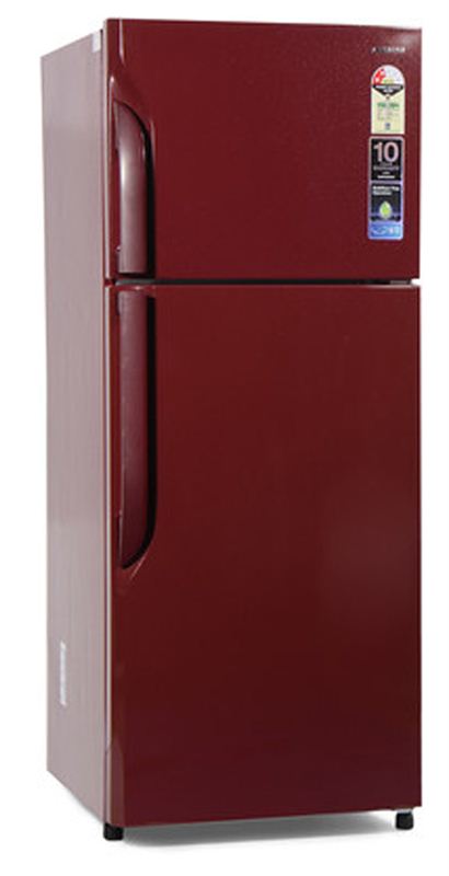 Samsung Double Door Refrigerator (RT26H3000SE)