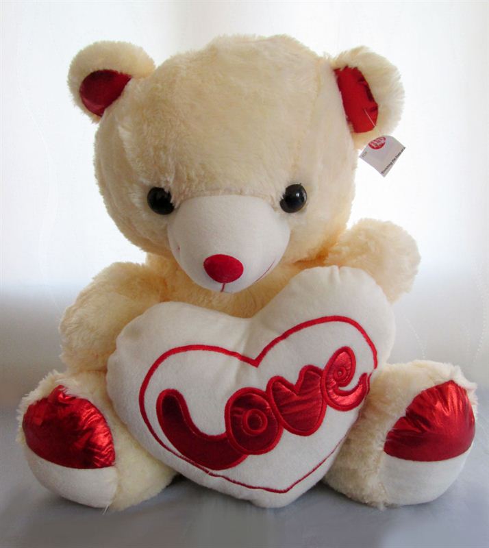 Big love teddy (20252)(18x12 inch)
