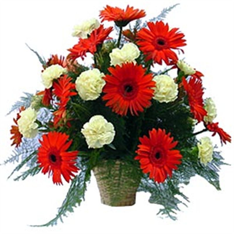 Dutch Gerberas & Carnations Round Basket