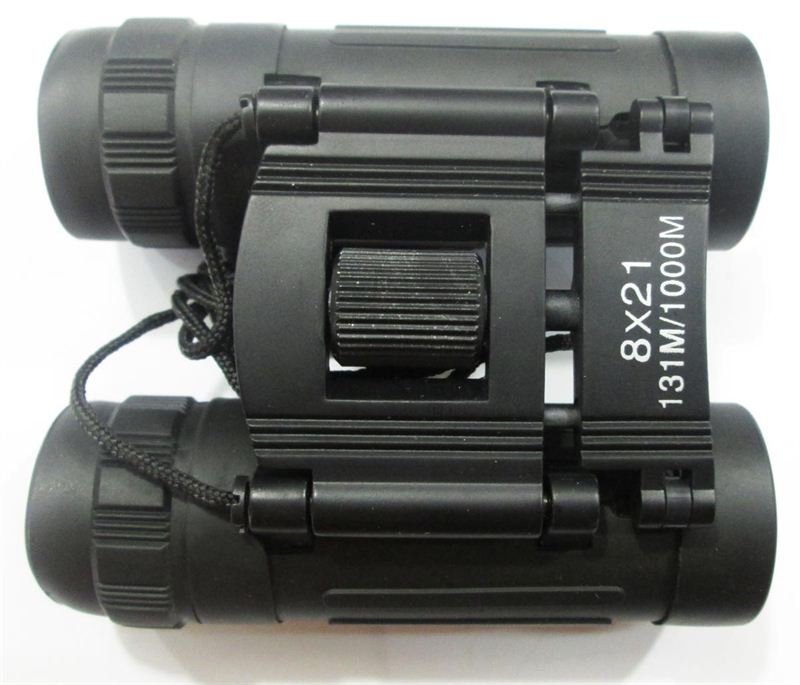Tasco Binoculars (8x21)
