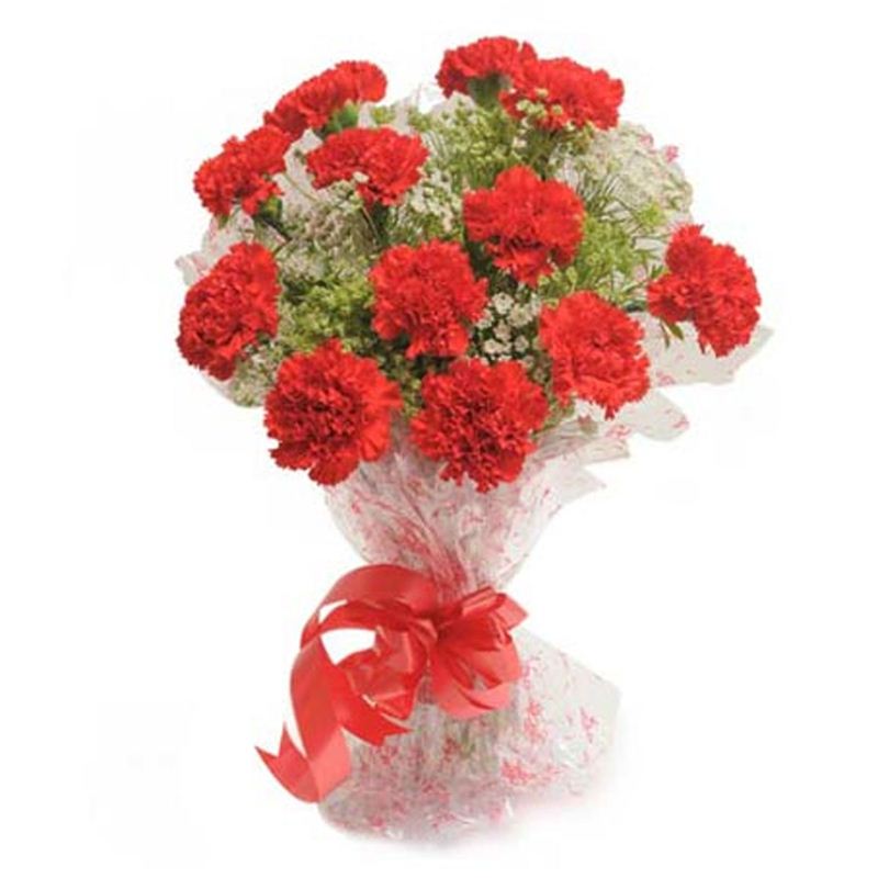 12 Red Carnations by FNP Flowers
