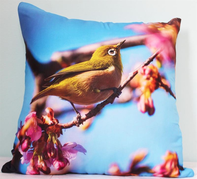 Bird Cushion Cover with Cushion (16 X 16 inch)