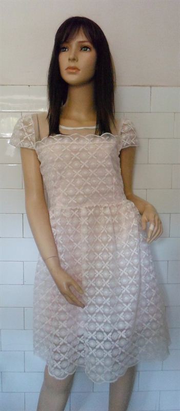 Ladies Embroidery Dress (BO37)
