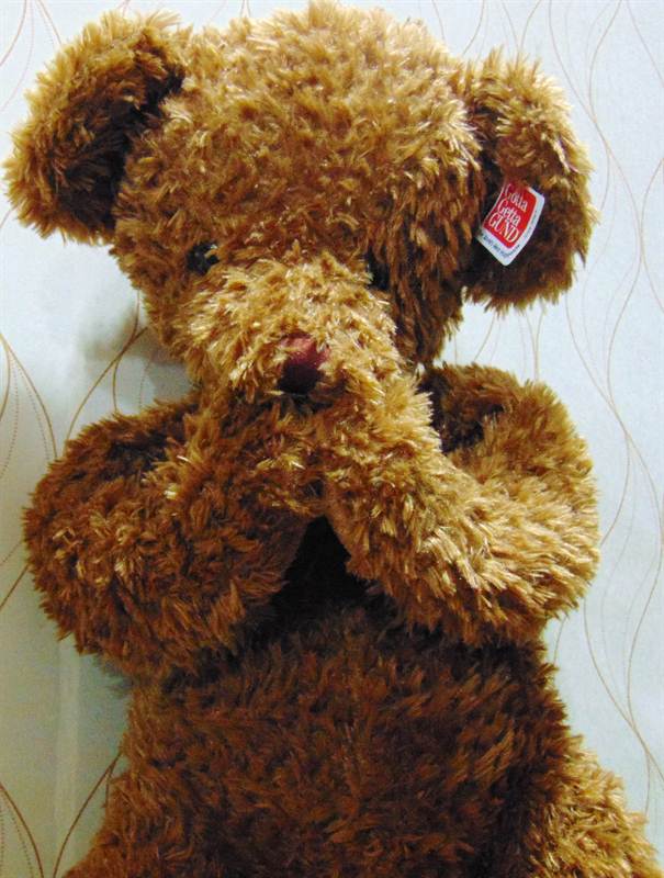 Gotta Getta Gund Teddy Shy Bear  with Magnetic Hands  Brown (large)