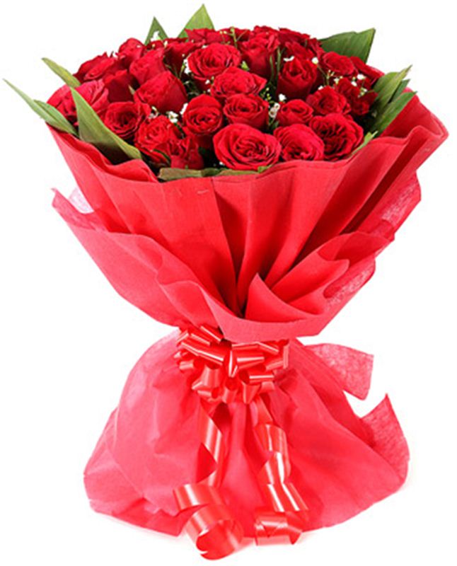 25 Red Roses with Dual Non-Woven Packing by FNP Flowers