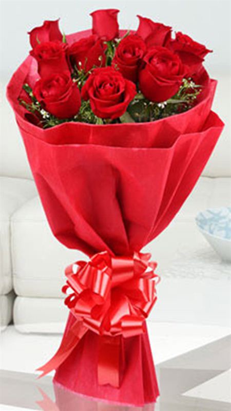 10 Red Roses with Red Non Woven Packing by FNP