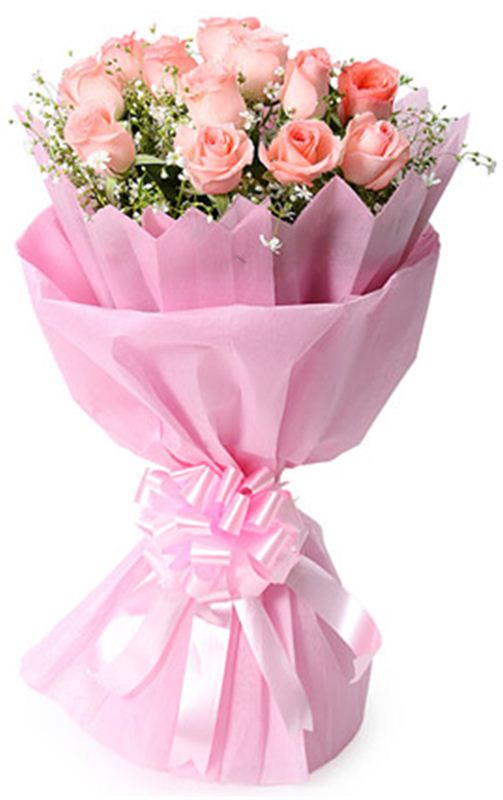 13 PINK ROSES WITH NON WOVEN PAPER by FNP Flowers