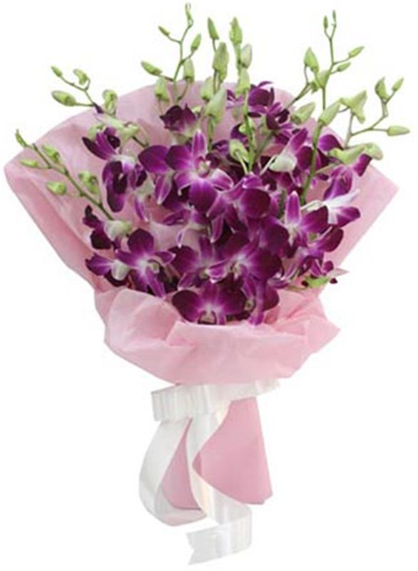 9 Purple Orchids with Non Woven Packing by FNP Flowers