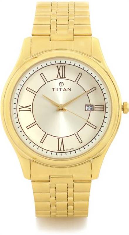 Titan Karishma Men's Watch (1713YM03)