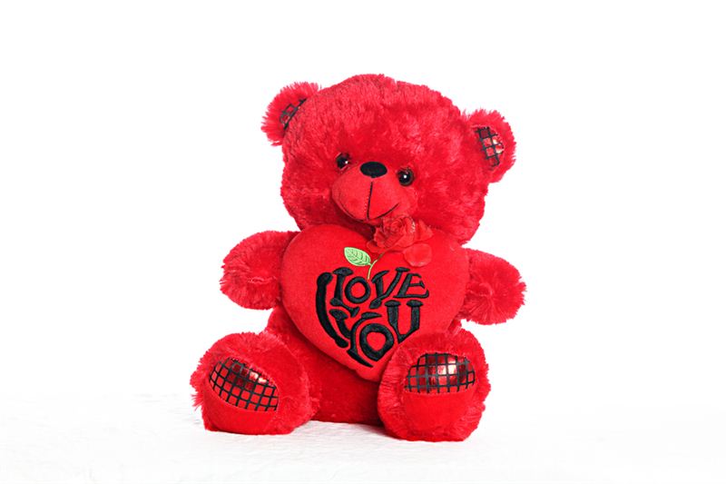 Red Teddy with I Love You Cushion
