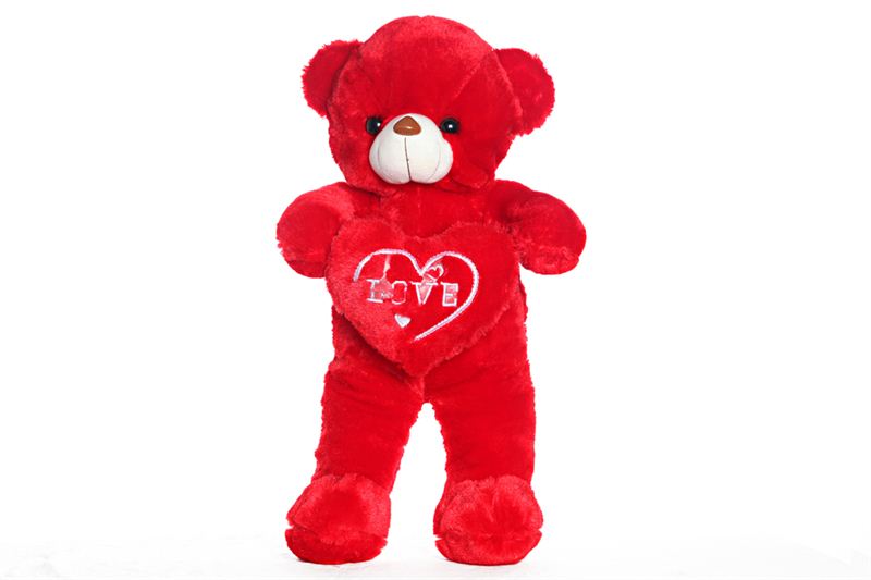Red Teddy with Love Cushion