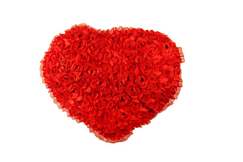 Red Heart Shaped Floral Cushion (26)