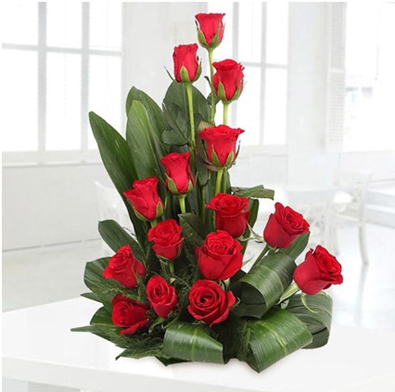 15 RED ROSES WITH GREEN LEAVES by FNP Flowers