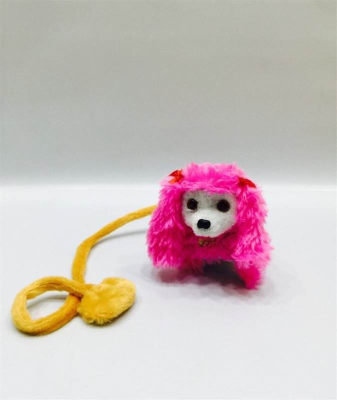fuzzy-walking-barking-wagging-pet-dog-with-leash