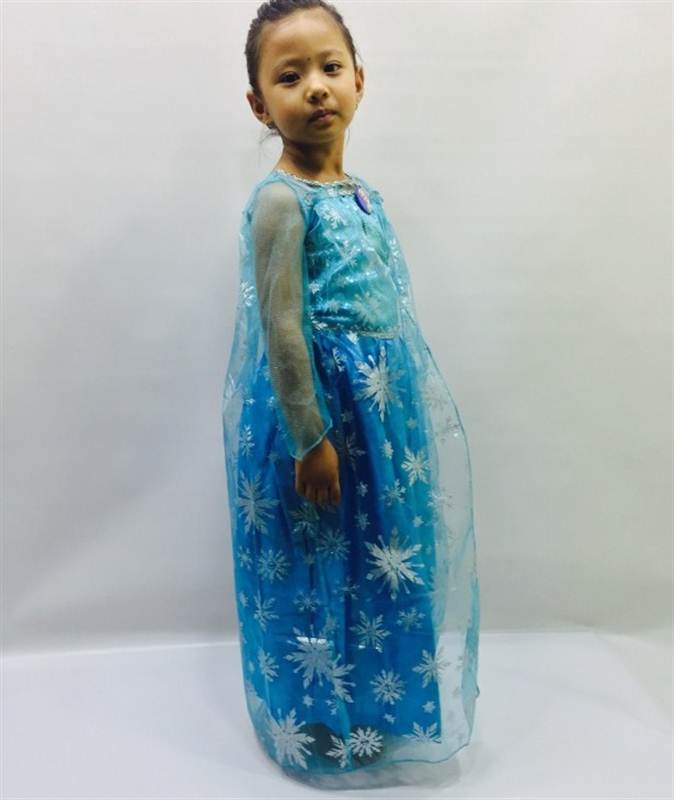 Elsa-Frozen Character Dress     