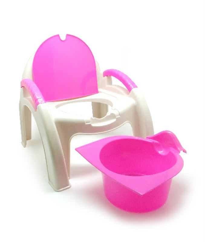 2 in 1 Potty Chair