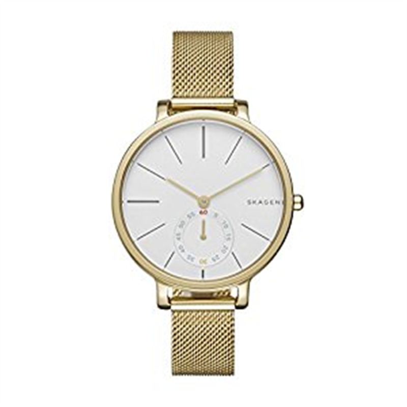 Skagen Hagen Steel Mesh Watch - SKW2436