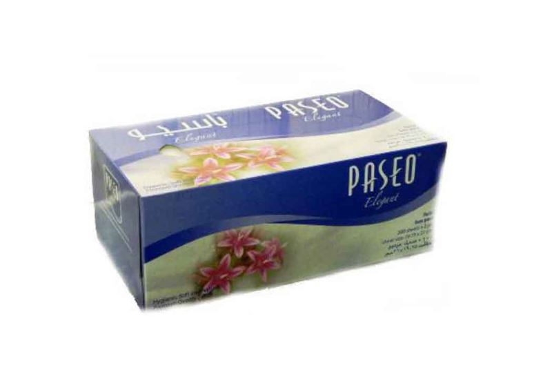 Paseo Box Tissue 200 Pulls 2ply