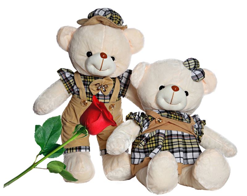 Teddy Couple with a Free Rose