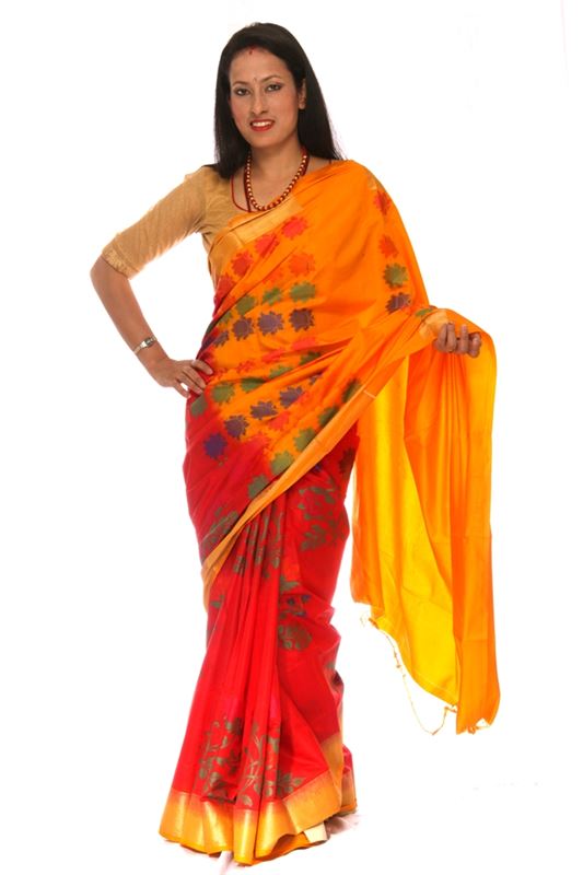 Raw silk Saree with thread weaved patterns and zari weaved border - SareeBDRY-2