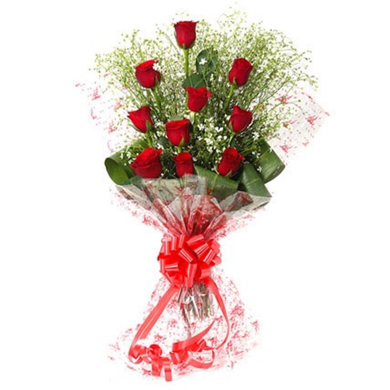 10 Red Roses in Cellophane Packing by FNP Flowers