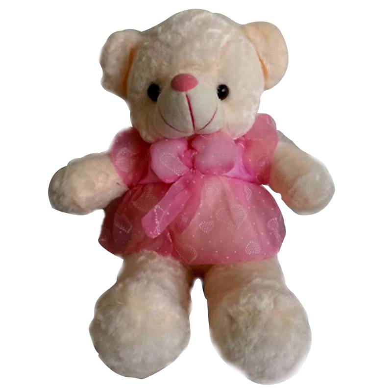 Small Teddy Bear in a Pink Dress