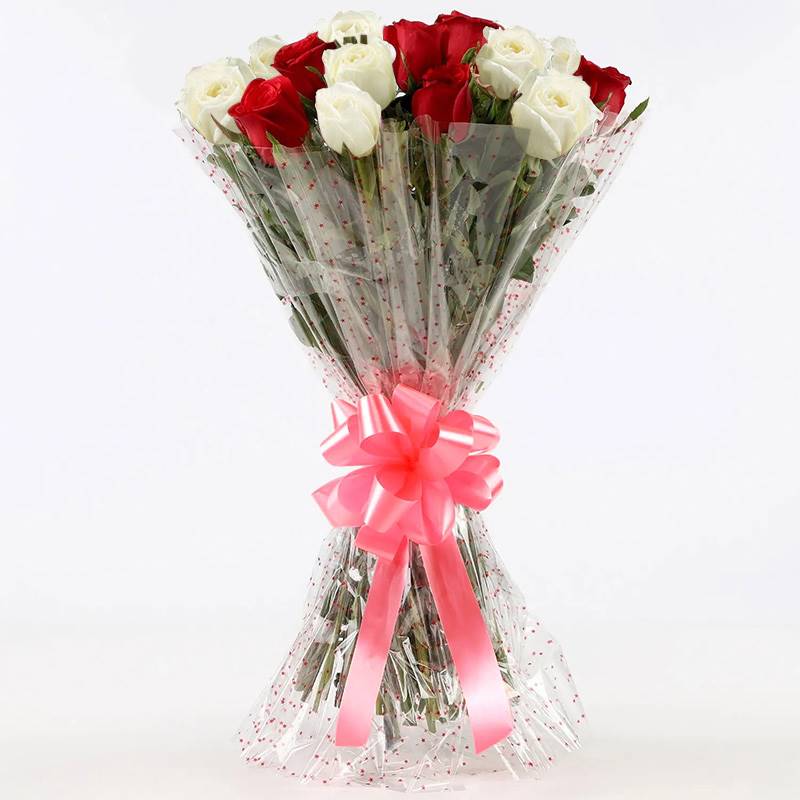 10 Red Roses and 10 White Roses in Cellophane Packing