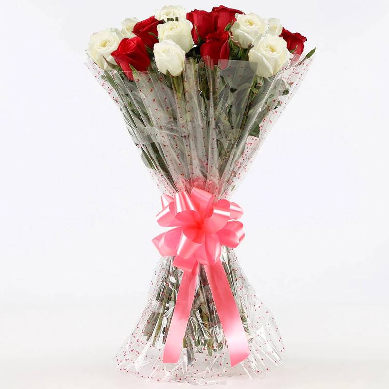 10 Red Roses and 10 White Roses in Cellophane Packing - Send Gifts and ...