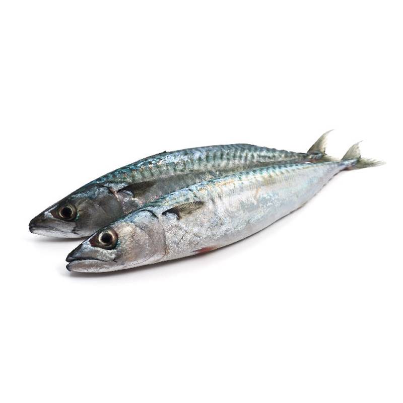 Bajeko Frozen Local Fish (1 kg) - Send Gifts and Money to Nepal Online ...