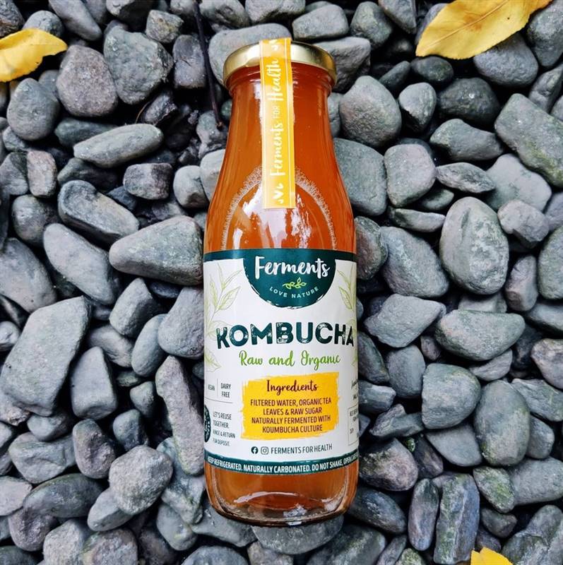 Kombucha Original (330 ml)