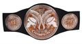WWE Championship Basic Belt Assortment (X3925)