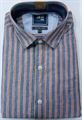 Peter England Gents Multicolor Stripe Shirt (ESF51301202)
