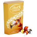 Lindt Lindor Assorted Chocolates (200g)