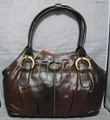 Ladies Brown Bag