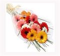 14 Colorful Gerberas by FNP Flowers
