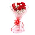 9 Carnation With Simple Packing by FNP Flowers