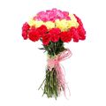 15 Red Carnations 15 Yellow Carnations and 14 Pink Roses by FNP Flowers