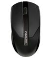 Prolink 2.4 GHz Wireless Optical Mouse (PMW-5002)