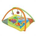 Baby's Play Gym 1
