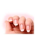 French manicure Normal
