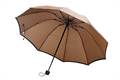 Brown Stripe Umbrella (E3121)