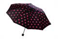 Black Purple Spotted Umbrella