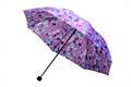 Purple Spotted Umbrella